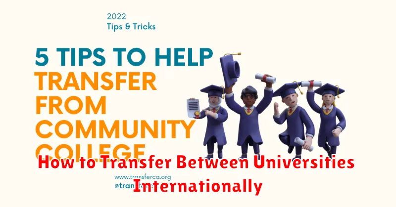 How to Transfer Between Universities Internationally